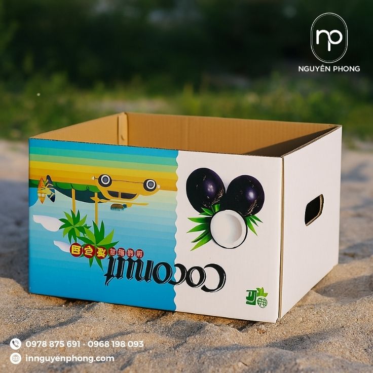 Mẫu thùng carton đựng dừa nổi bật